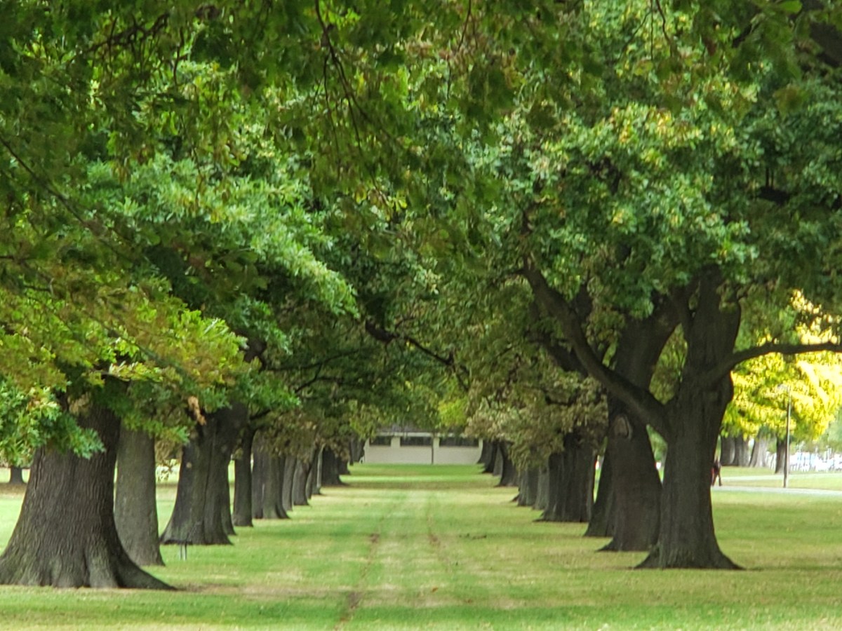 働き方改革のモデルを探しに。